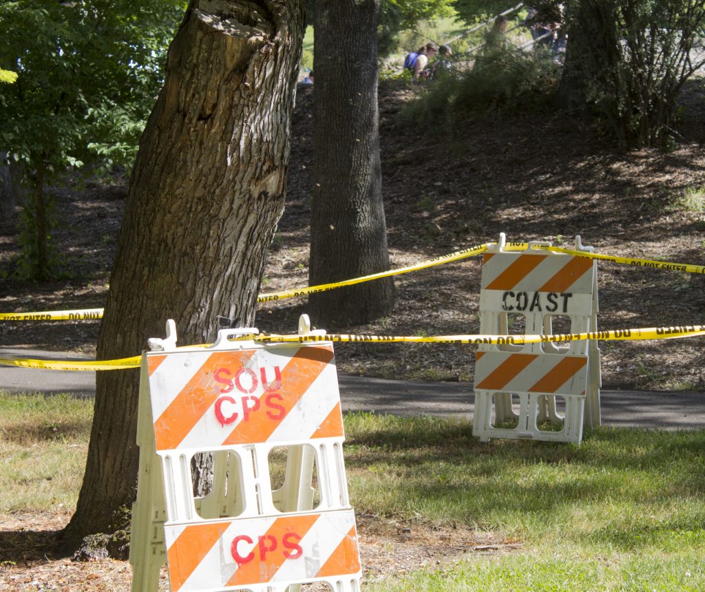 The Bees Are Here To Stay The Siskiyou