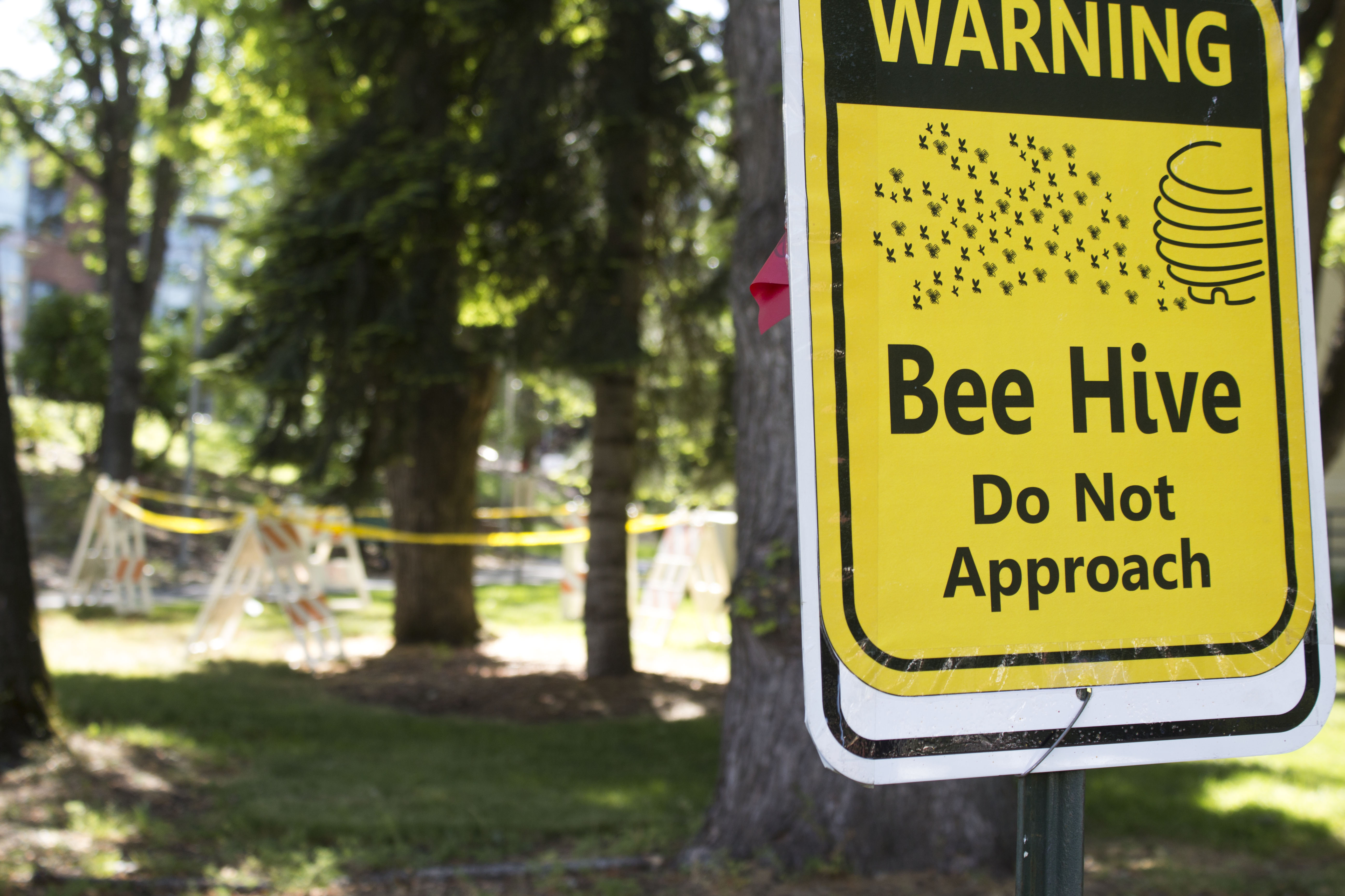 The Bees Are Here To Stay The Siskiyou