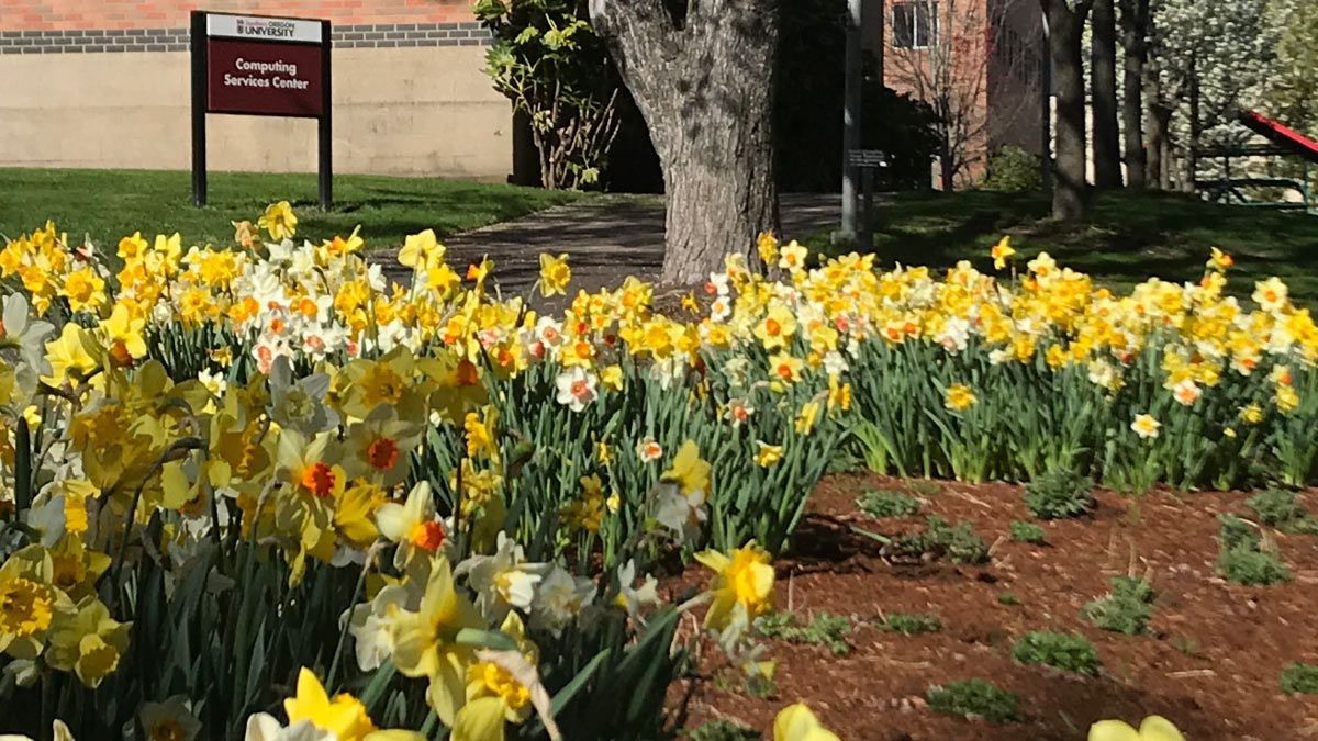 The Student Sustainability Center and Social Justice and Equity Center Present Earth Month at SOU - Vimarsana News